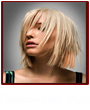 Fashion Hairstyles